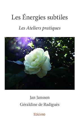Livre: Les Énergies subtiles: Les Ateliers pratiques, Plaisir d'apprendre, Français, www.plaisir.dapprendre.com, www.dapprendre.com
